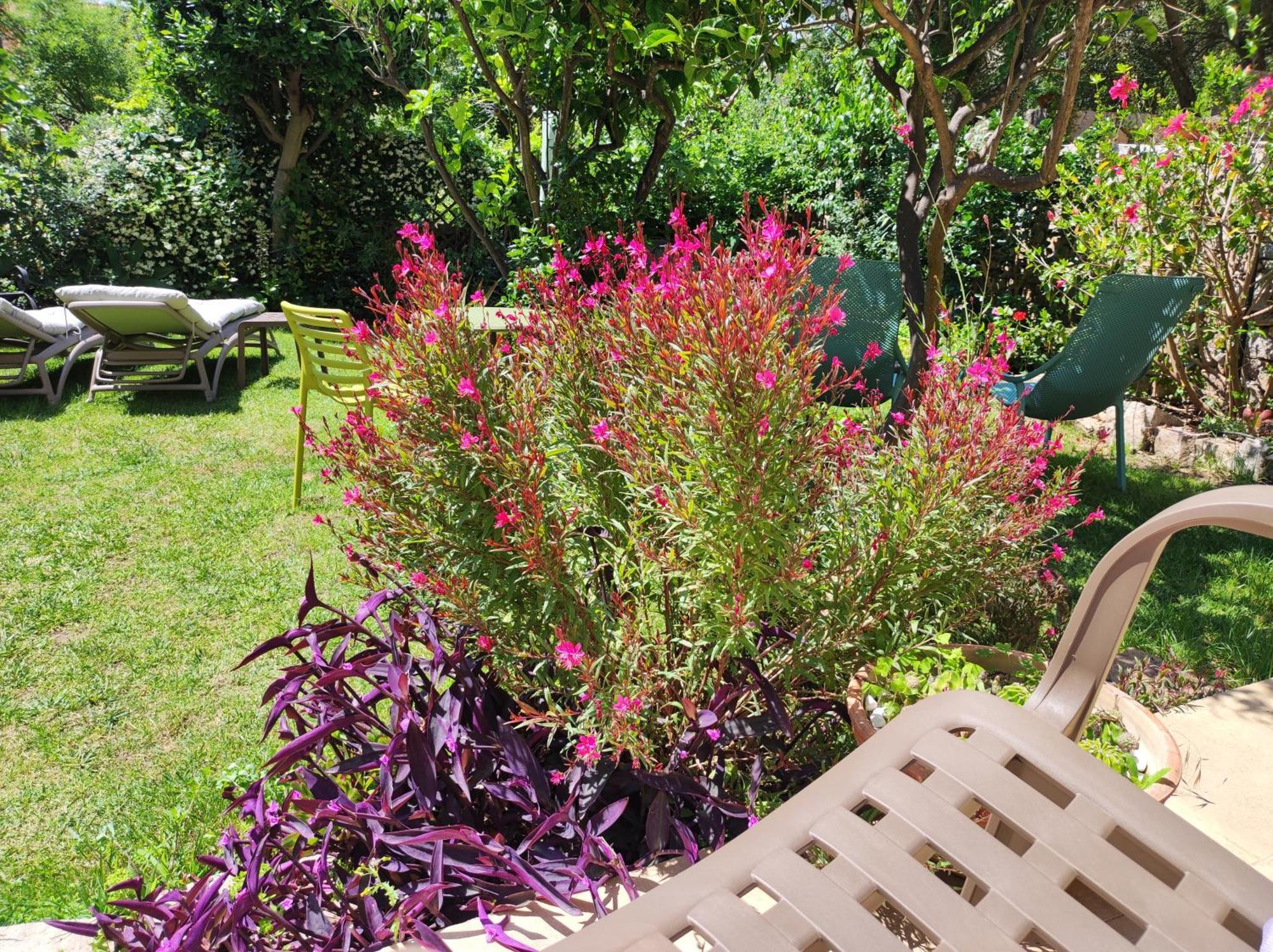 لا ماداّلينا Il Giardino Di Tatiana Rooms & Breakfast المظهر الخارجي الصورة