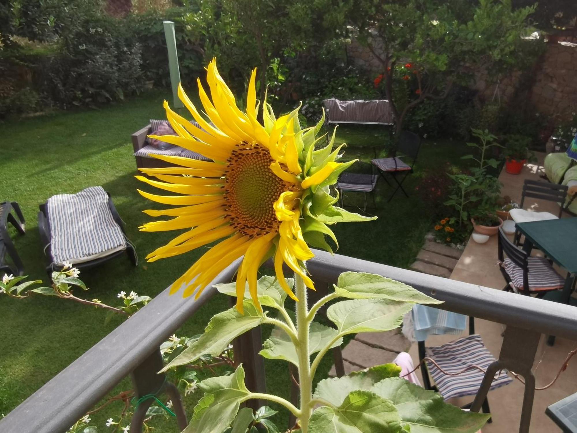 لا ماداّلينا Il Giardino Di Tatiana Rooms & Breakfast الغرفة الصورة